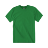 Plain T-Shirts